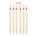 GRAY NICOLLS CRICKET STUMPS CLUB
