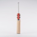 GRAY NICOLLS ALPHA GEN 1.0 200 ENGLISH WILLOW SH