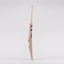 GRAY NICOLLS ALPHA GEN 1.0 200 ENGLISH WILLOW SH