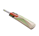 GRAY NICOLLS BAT VELOCITY XP1 5 STAR 350 ENGLISH WILLOW SH