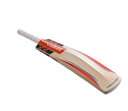 GRAY NICOLLS BAT PREDATOR 4 STAR PP 250 ENGLISH WILLOW SH