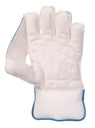 SG WICKET KEEPING GLOVES TOURNAMENT