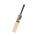 IMG_44542978296783620 (1).png