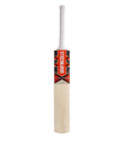 GRAY NICOLLS BAT PREDATOR 4 STAR KASHMIR WILLOW