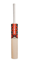 GRAY NICOLLS BAT PREDATOR 3 BLAST KASHMIR WILLOW SH