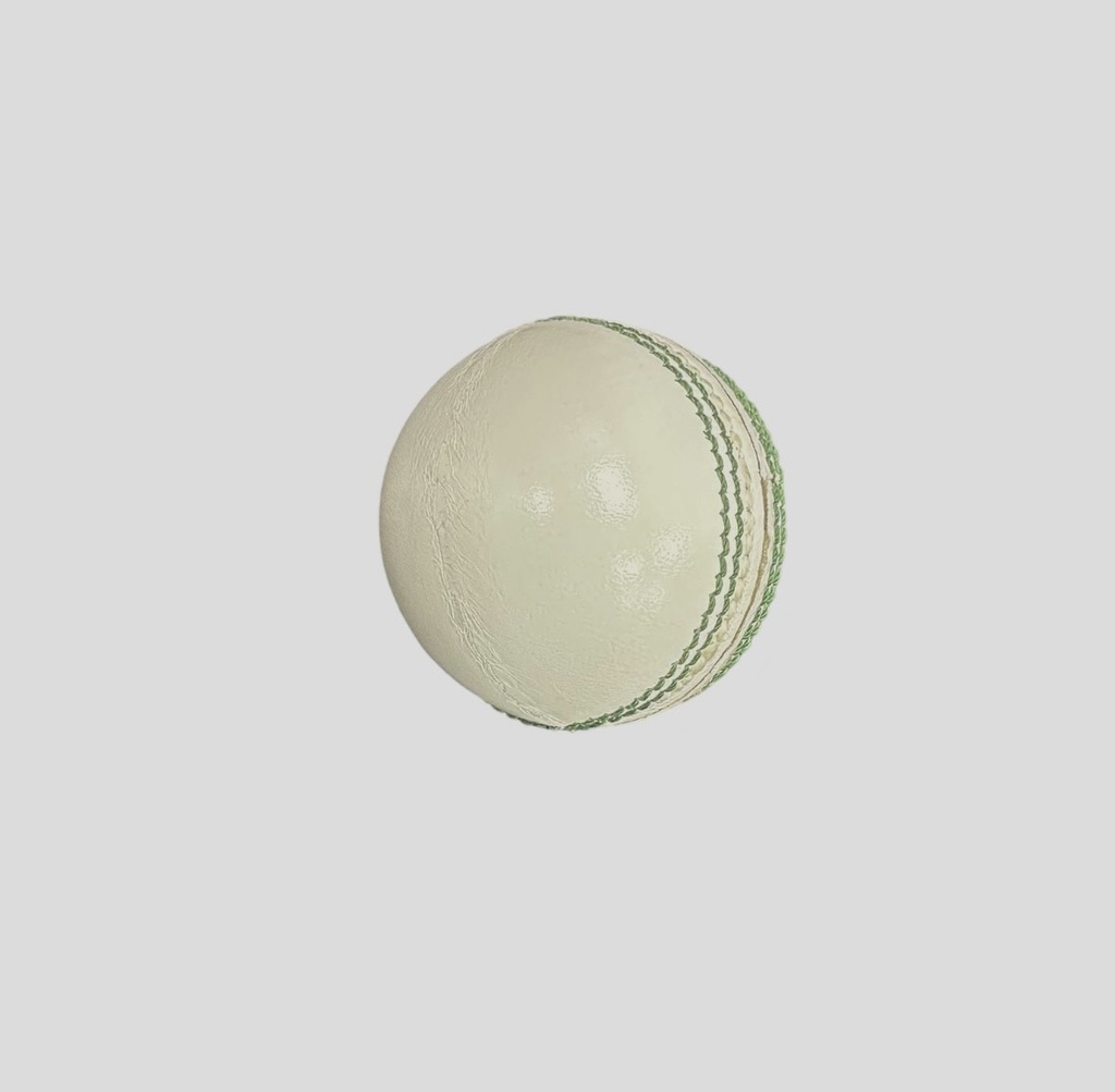 BSG CRICKET BALL LEATHER WHITE 156 g