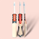 GRAY NICOLLS CRICKET BAT SUPERNOVA STRIKE FORCE KASHMIR WILLOW