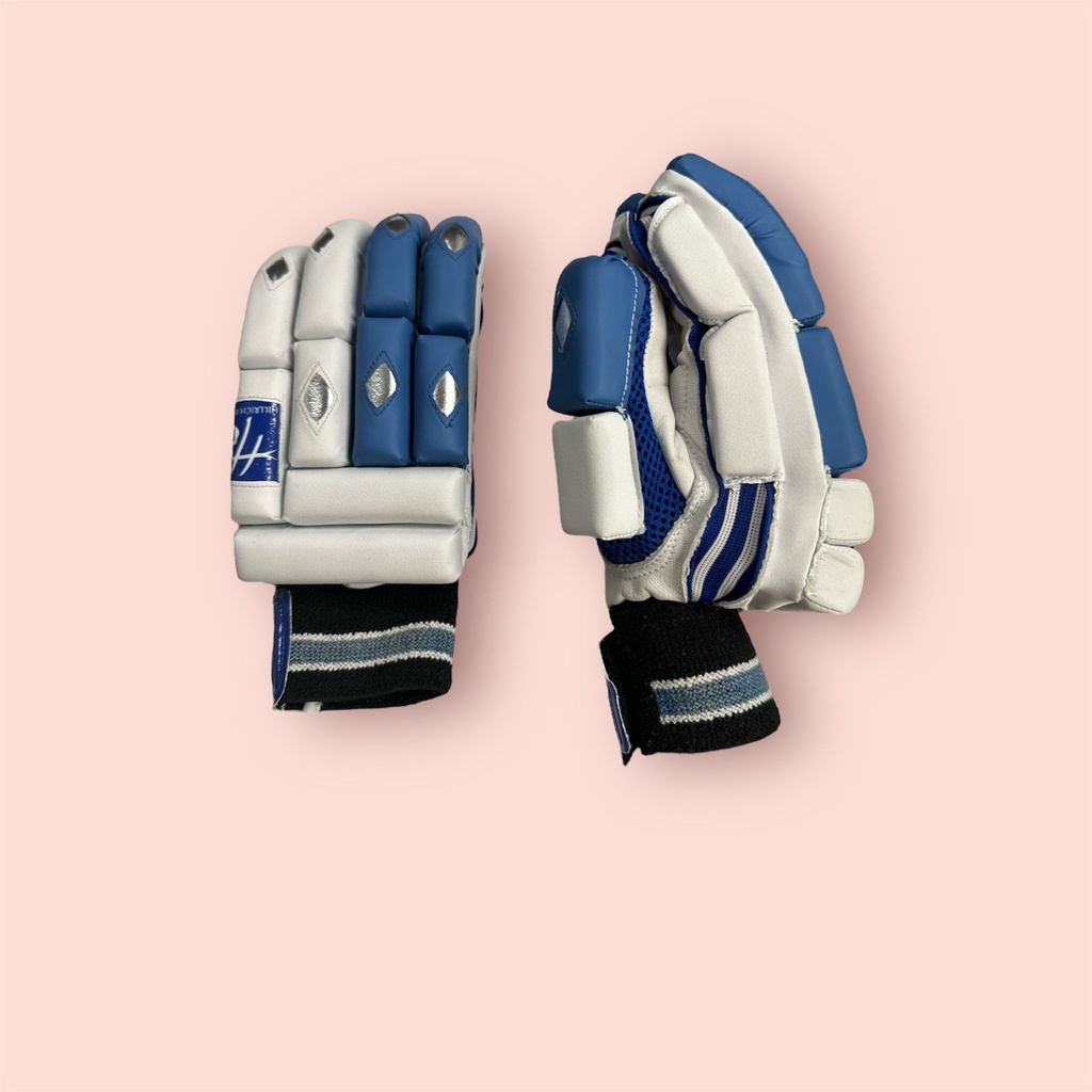 HILLRICH CRICKET BATTING GLOVES SILVER AND BLUE