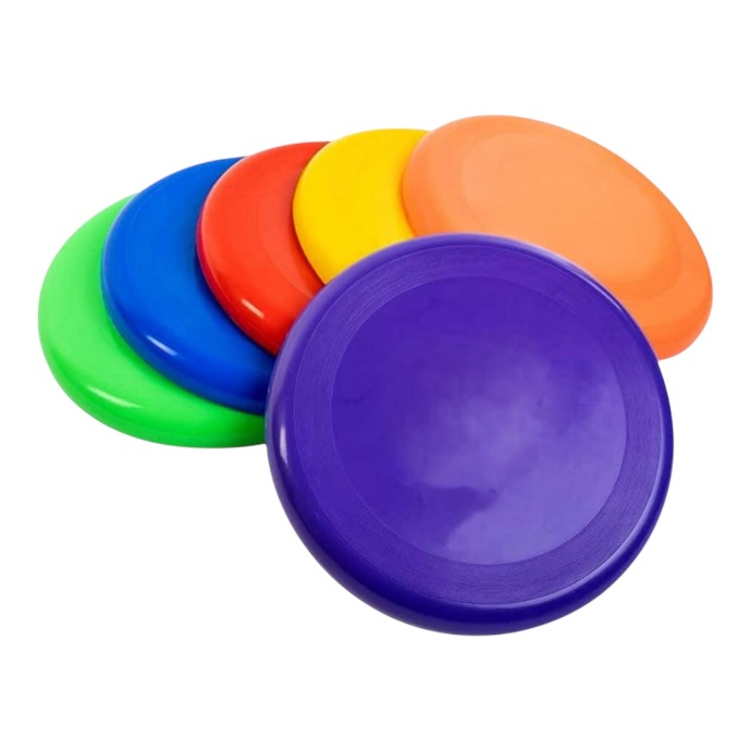 BSG FRISBEE