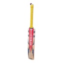GRAY NICOLLS CRICKEY BAT HAVOC HB317 WARRIOR SH