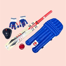 GRAY NICOLLS CRICKET SET PREDATOR