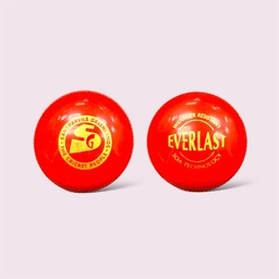 SG BALL EVERLAST ALL WEATHER RED - 160g