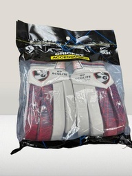 SG CRICKET BATTING GLOVES RP ECOLITE
