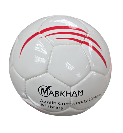 DUN RUN MARKHAM SOCCER BALL